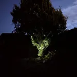 Nad Jeziorem - Mira Villa *